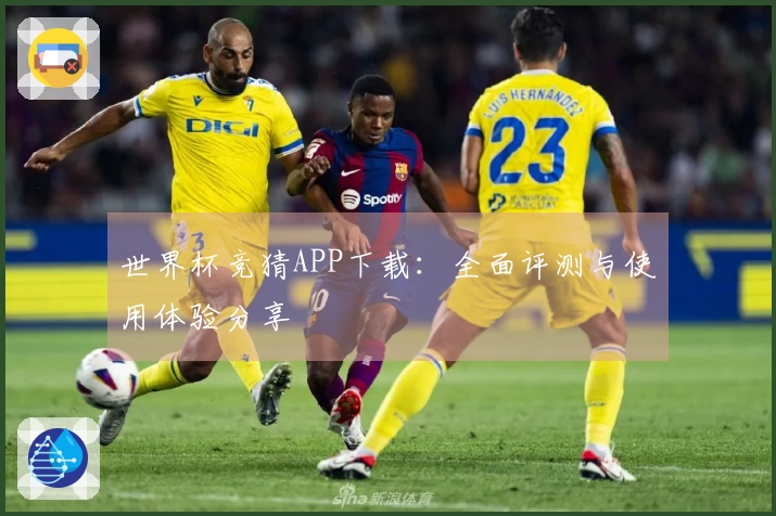 世界杯竞猜APP下载：全面评测与使用体验分享