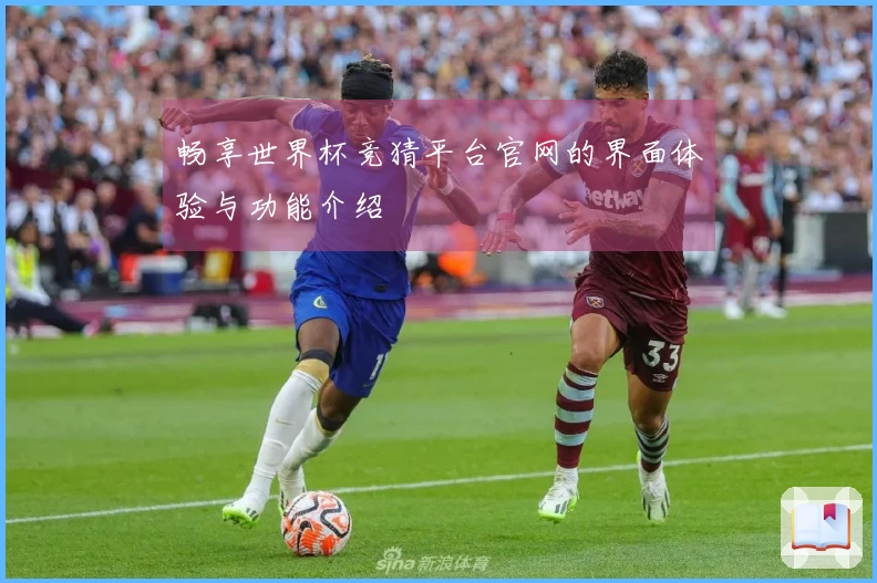 畅享世界杯竞猜平台官网的界面体验与功能介绍