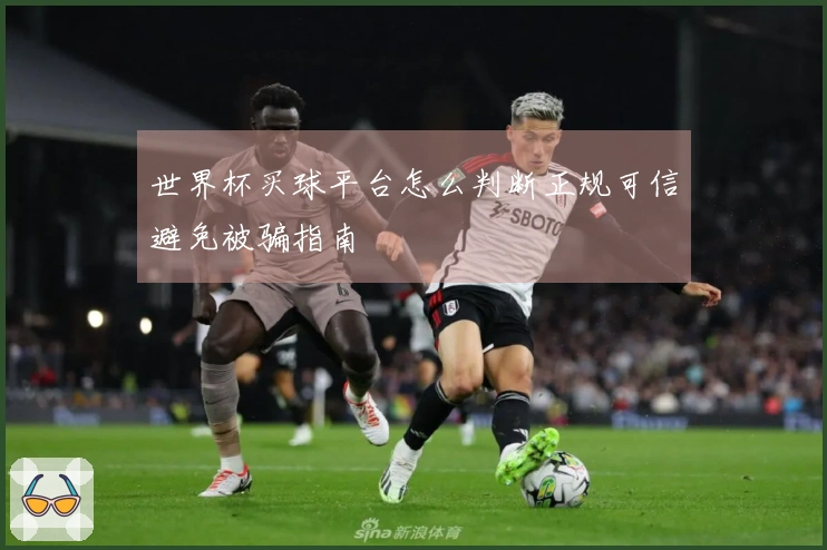 世界杯买球平台怎么判断正规可信避免被骗指南