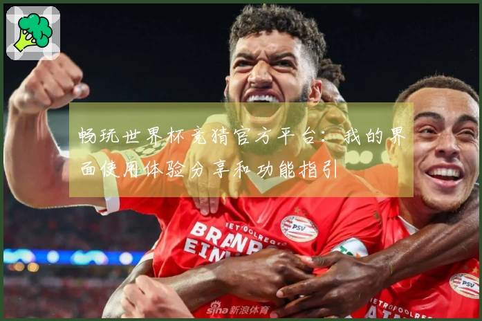 畅玩世界杯竞猜官方平台：我的界面使用体验分享和功能指引