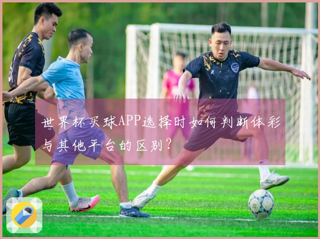 世界杯买球APP选择时如何判断体彩与其他平台的区别?