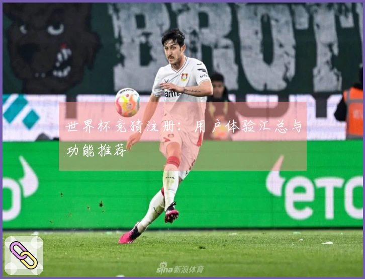 世界杯竞猜注册：用户体验汇总与功能推荐
