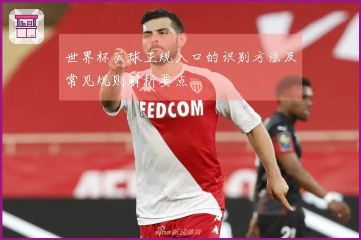 世界杯买球正规入口的识别方法及常见规则解析要点