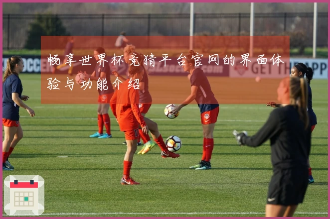 畅享世界杯竞猜平台官网的界面体验与功能介绍