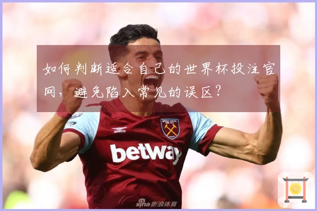 如何判断适合自己的世界杯投注官网,避免陷入常见的误区?