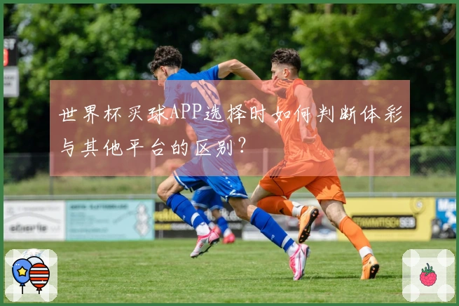 世界杯买球APP选择时如何判断体彩与其他平台的区别？