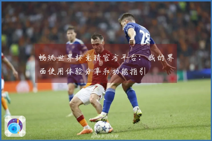 畅玩世界杯竞猜官方平台：我的界面使用体验分享和功能指引