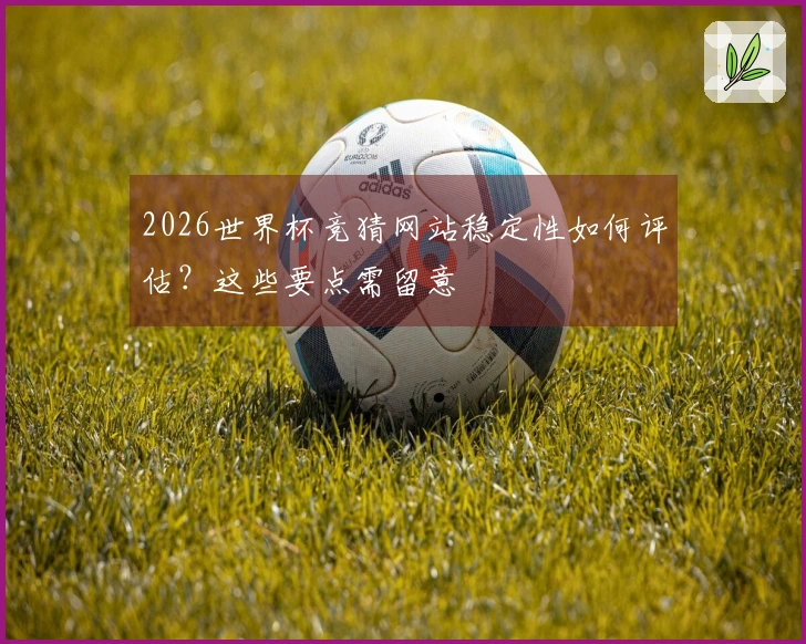 2026世界杯竞猜网站稳定性如何评估?这些要点需留意