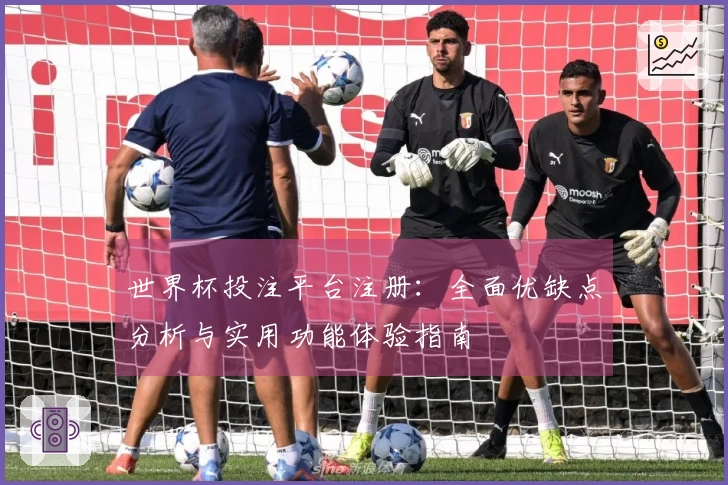 世界杯投注平台注册：全面优缺点分析与实用功能体验指南