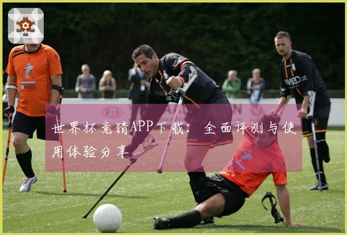 世界杯竞猜APP下载：全面评测与使用体验分享