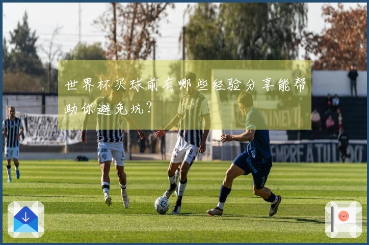 世界杯买球前有哪些经验分享能帮助你避免坑？