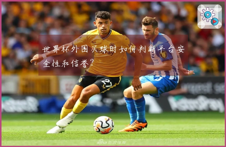 世界杯外围买球时如何判断平台安全性和信誉？