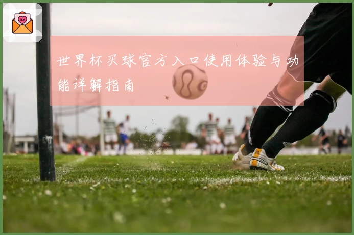 世界杯买球官方入口使用体验与功能详解指南