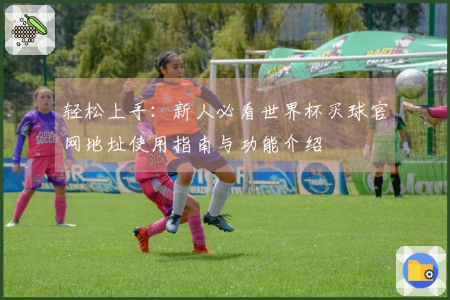 轻松上手：新人必看世界杯买球官网地址使用指南与功能介绍