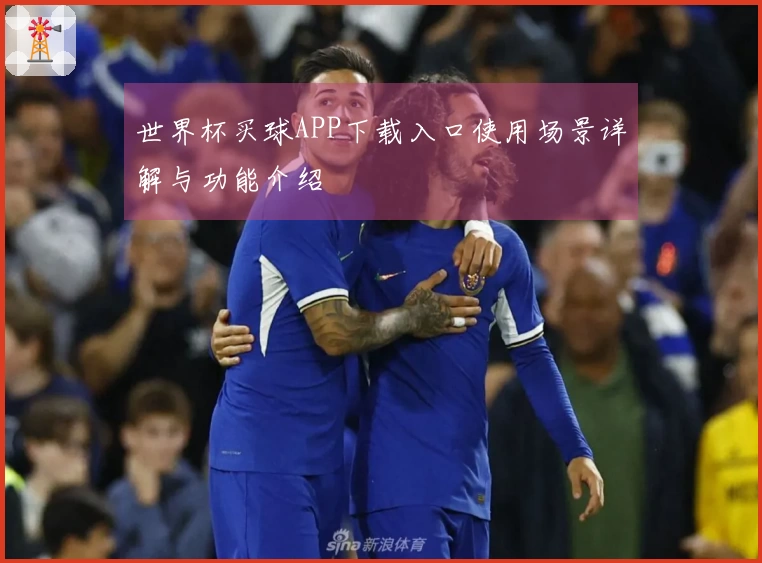 世界杯买球APP下载入口使用场景详解与功能介绍