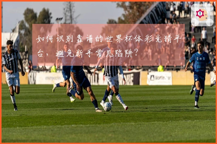 如何识别靠谱的世界杯体彩竞猜平台，避免新手常见陷阱？